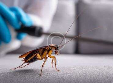 Choosing safer pesticides for a healthier living environment
