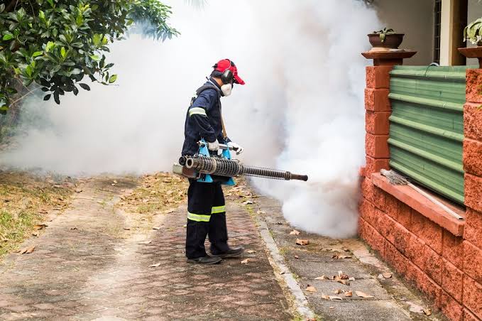 Pest Control services in Islamabad & Rawalpindi